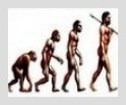 Evolution videos