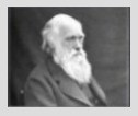 More evolution videos